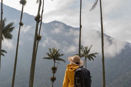 Colombia’s 3 Axis of Diversity: Bogota, Coffee Region and Cartagena 8-Day Tour