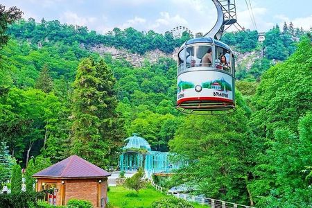 Borjomi National Park Full Day Private Tour From Tbilisi