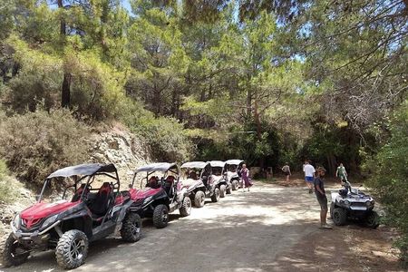 Quad or Buggy Tour from Coral Bay to Akamas Forest