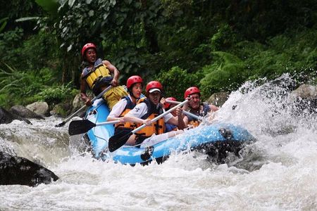 Ubud White Water Rafting with Waterfall and Lunch