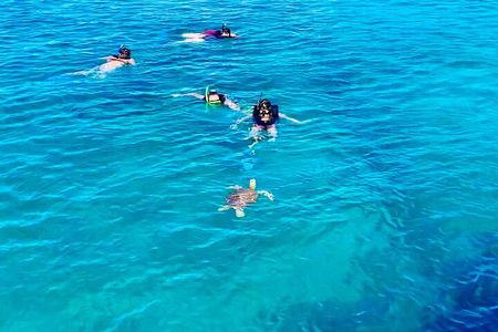 Full day Luxury Catamaran Turtle Snorkel and Beach Getaway