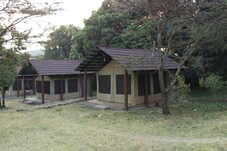 6 Days in Masai Mara Interactiv, Lake Nakuru and Amboseli 