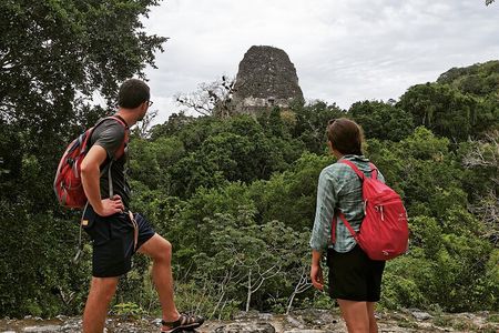 Tikal Day Adventure from San Ignacio (Lunch Included)