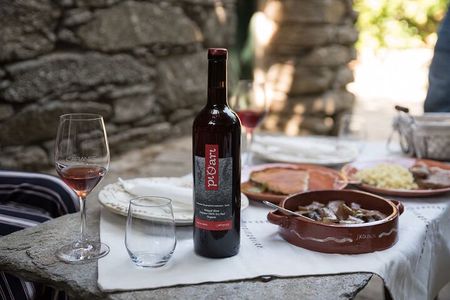 Professional Tour with Winemaker in Ikaria 