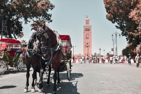 Private Half-Day Guided Tour of Marrakech