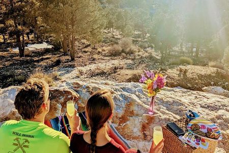 Guided Hiking Tour in Big Bear