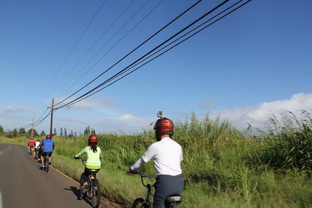 Predawn-Morning Haleakala Bike Tour 6,500 to Sea Level
