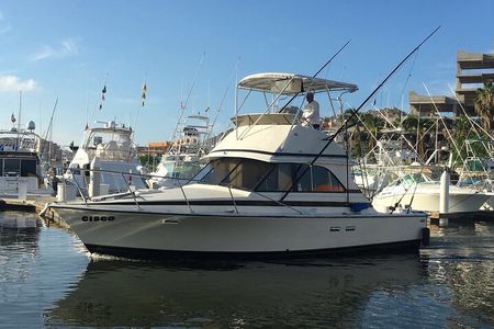 5-Hours Private Fishing Experience in Cruiser in Cabo San Lucas