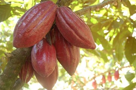 Half-Day Cultural Experience: History, Flavors & Local Artisans