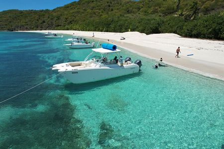 All inclusive Private Tour to Icacos and Palomino Island