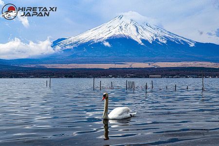 MT. FUJI/ Private Tour delivered and guided by a top-tier driver
