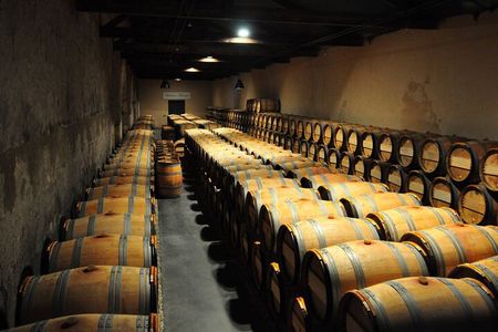 Medoc Region Wine Day Trip with Vineyard Visits & Tastings from Bordeaux