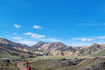 Private Day Trip in Landmannalaugar South Region area on a 4x4 truck 