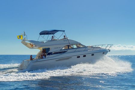 Whales and Dolphins excursion on a Luxury Yacht in Canary Islands