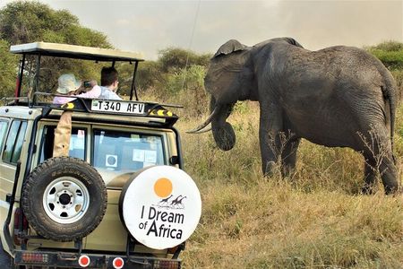 10-Day Amazing Comfort Camping Safari