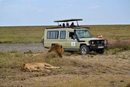 7-Day North Tanzania Classic Safari