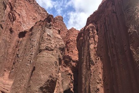 Excursion to Rainbow Valley and Petroglyphs, Yerbas Buenas