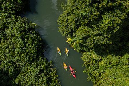 Small Group River Kayaking Tour from Port Vila