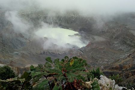 Poas Volcano + Coffee tour + Waterfall tour day from San Jose 