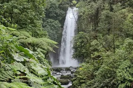 Costa Rica Day Trip Tour with Lunch