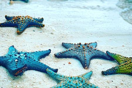 Starfish Adventure; Blue Lagoon; The Rock; Kuza Cave, Salaam Cave