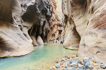 The Narrows: Zion National Park Private Guided Hike