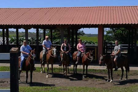 Full day with canopy horse back riding and cultural Arenal visit from San Jose