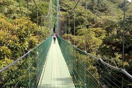Zipline. Butterfly Garden and Hanging Bridges Tour from San Jose 