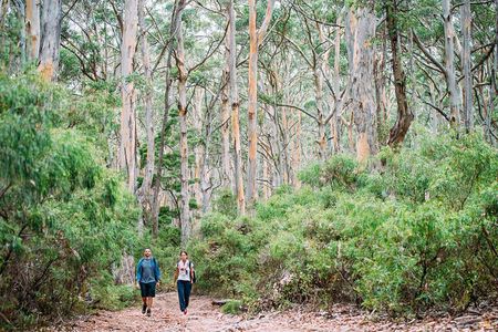 Busselton, Margaret River and Augusta 2-Day Tour from Perth
