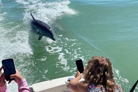 Private Shelling and Dolphin Excursion 