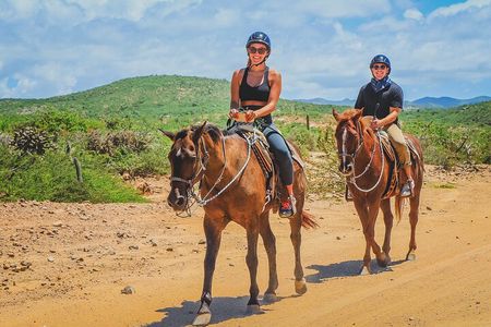 Los Cabos Horseback Riding