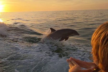 2 Hour Private Dolphin and Sightseeing Tour Shell Island
