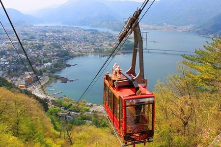 Seasonal Mt. Fuji Scenic Views, Fruit Picking and Ropeway Ride!
