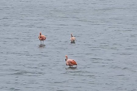 Curaçao West Coast Tour: Hato Caves, Grote Knip & Daaibooi Beach