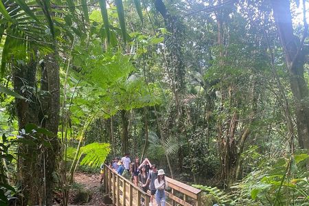 El Yunque Rainforest Hiking Tour from San Juan