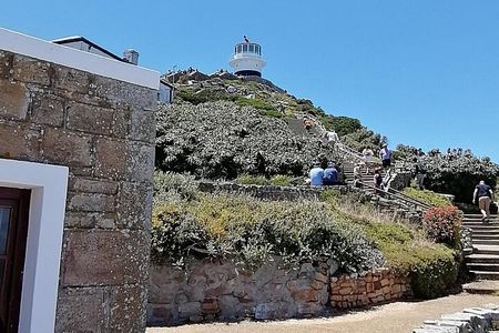Full Day Cape Peninsula, Cape Point Tour