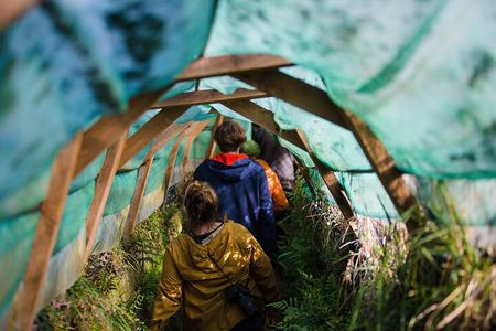 Otago Peninsula Wildlife Tour & Cruise