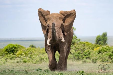 3 days safari in North- Ngorongoro, Tarangire, Mt. Oldeani