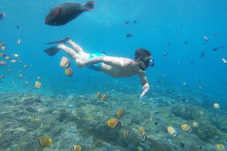 Bali Nusa Penida and Private Snorkeling (Manta Bay, Gamat, Wall) 