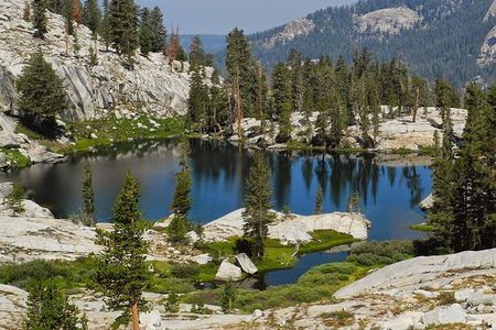 Yosemite and Kings Canyon National Park 2 Day Tour from LA