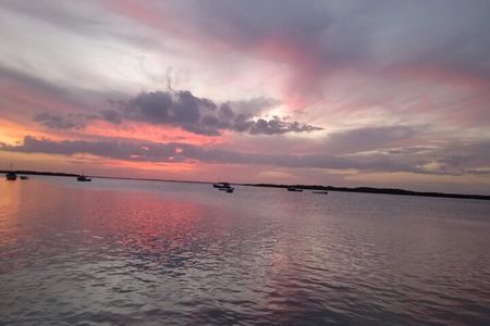 Full Day Tour Río Lagartos with Pickup from Mérida 7 AM