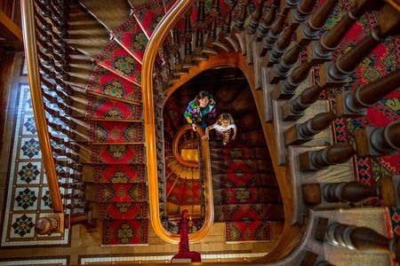 Larnach Castle & Otago Wildlife Cruise from Dunedin