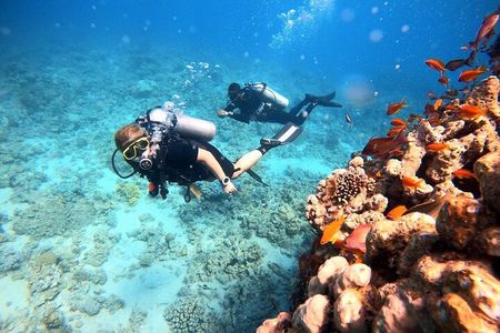 2-Hour Private Scuba Experience in Aqaba 