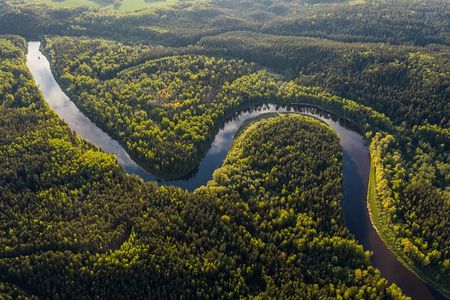 Iquitos Jungle Tour for 3 Days