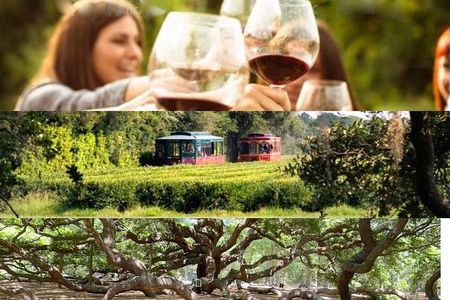 Wine Sippin'-Tea Drinkin'-Tree Huggin' Lowcountry Sightseeing