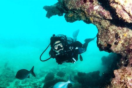Scuba Tour for Certified Divers in San Juan - Best Facilities
