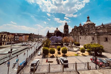 Mexico City Center Private Walking Tour
