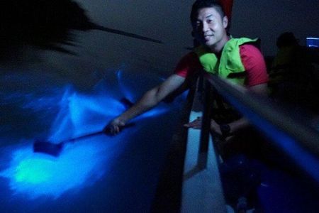 Amazing Fireflies With Blue Tears Watching & Kuala Selangor Tour