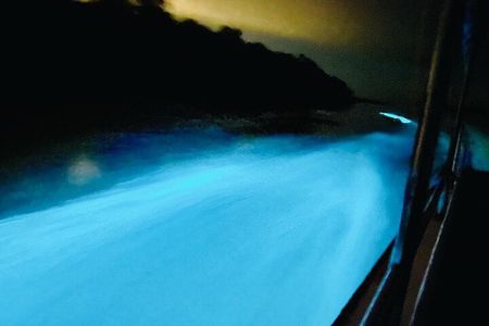 Amazing Fireflies With Blue Tears Watching & Kuala Selangor Tour