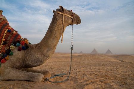 Private Half Day Tours To Giza Pyramids And Sphinx